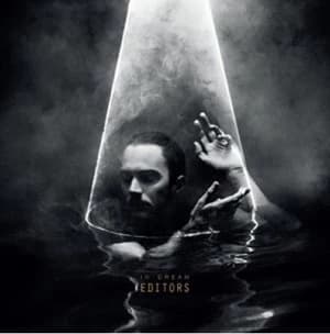 In Dream by Editors CD Album
