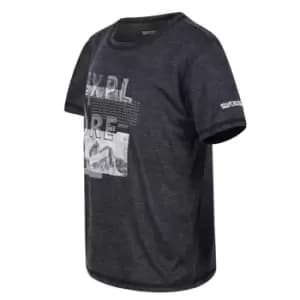 Regatta Alvarado VI T-Shirt - Grey