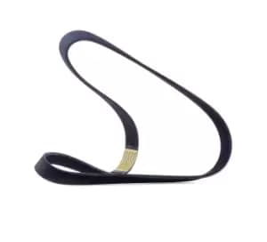 RIDEX V-ribbed belt VW,AUDI,MERCEDES-BENZ 305P0138 038903137R,03F903137A,11287835178 11287835482,11287838226,7838226,4573727,4573727AB,4668255,4668324