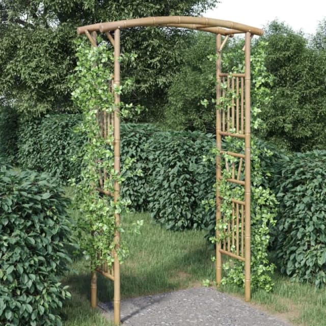 VIDAXL Rose Arch Bamboo 118x40x187cm vidaXL 8720286943021
