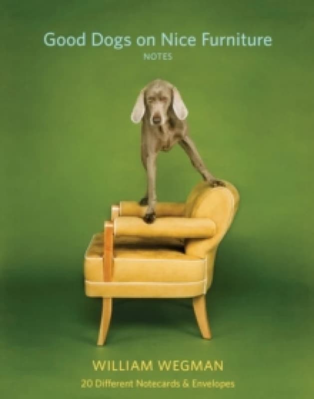 Good Dogs on Nice Furniture Notes : 20 Different Notecards & Envelopes Cards