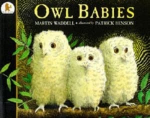 Owl Babies. by Martin Waddell Paperback