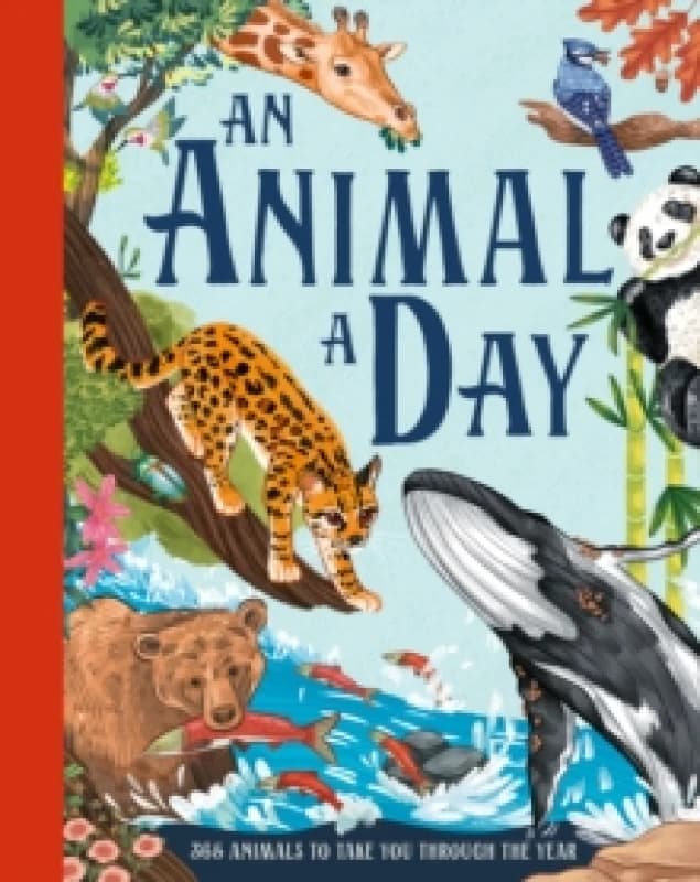 An Animal a Day Hardback