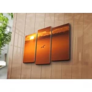 3NATPAT-1 Multicolor Decorative Canvas Painting (3 Pieces)