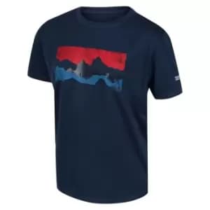 Regatta Alvarado VI T-Shirt - Blue