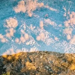 Earth Loop by Moon Gangs CD Album