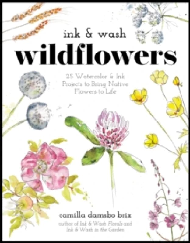 Ink & Wash Wildflowers : 25 Watercolor & Ink Projects to Bring Native Flowers to Life Paperback / softback