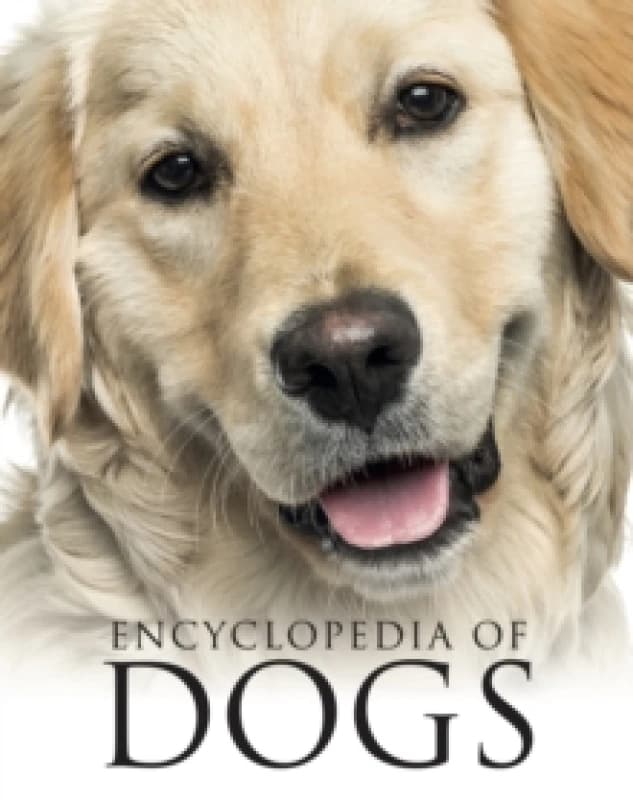 Encyclopedia of Dogs Paperback / softback