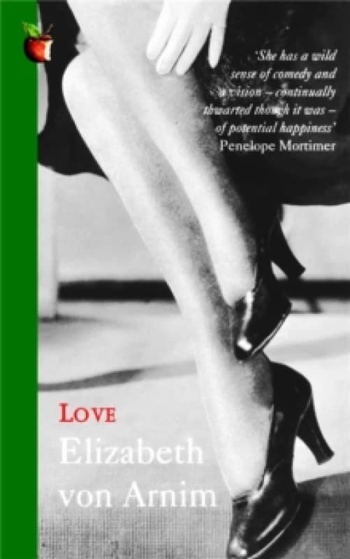 Love : A Virago Modern Classic Paperback / softback