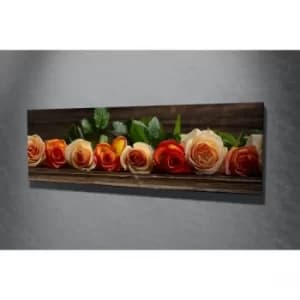 PC031 Multicolor Decorative Canvas Painting