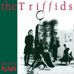Treeless Plain by The Triffids CD Album