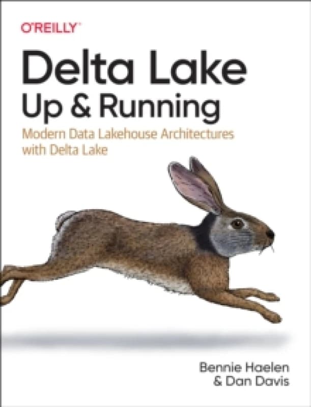 Delta Lake. Paperback. By Bennie Haelen, Dan Davis Books