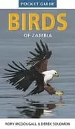 pocket guide birds of zambia