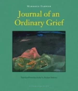 journal of an ordinary grief