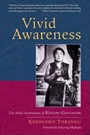 vivid awareness the mind instructions of khenpo gangshar