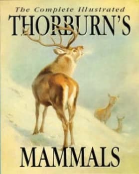 Thorburns Mammals Paperback