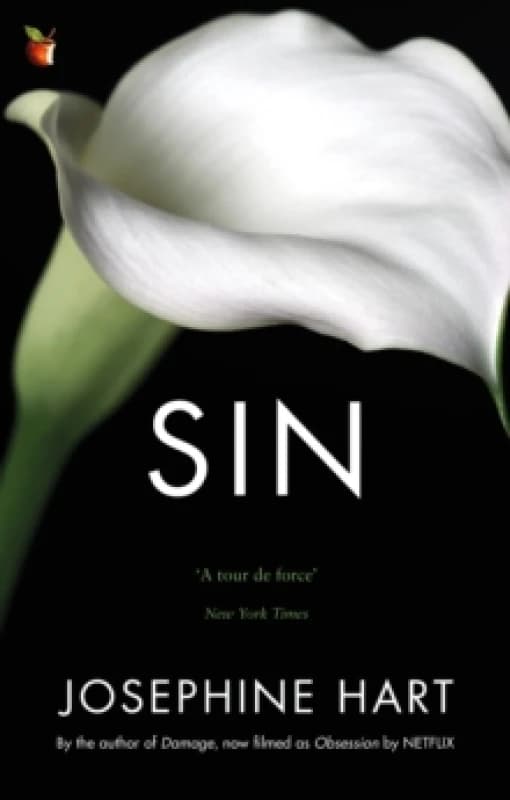 Sin : By the author of DAMAGE, inspiration for the Netflix series OBSESSION Paperback / softback