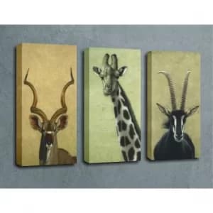 UC68 Multicolor Decorative Canvas Painting (3 Pieces)