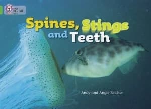 Spines Stings and Teeth by Andy Belcher Paperback