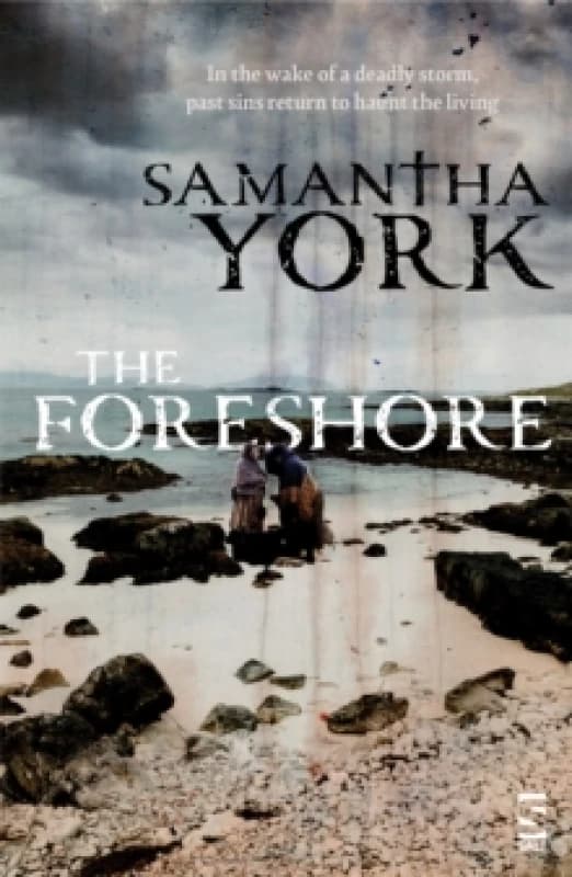 The Foreshore Paperback / softback