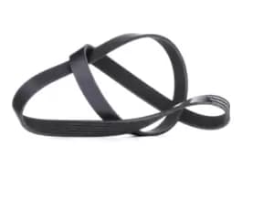 RIDEX V-ribbed belt BMW,FORD,RENAULT 305P0064 11281741427,12578001,MN158101 5750FJ,5750M0,5750RZ,5750Y2,5750ZG,9624542280,9624543180,8200243021,5750FH