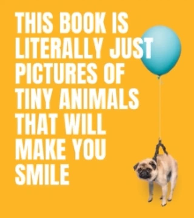 This Book Is Literally Just Pictures of Tiny Animals That Will Make You Smile Hardback