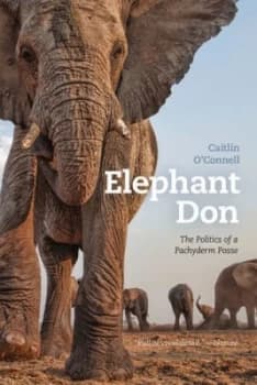 Elephant Don by Caitlin Oconnell Paperback