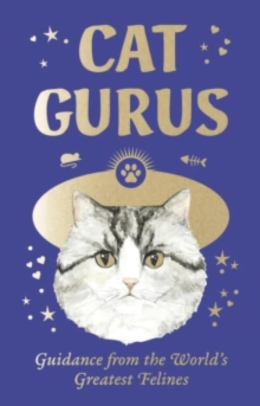 Cat Gurus (Mini Deck) : Guidance from the World's Greatest Felines Cards