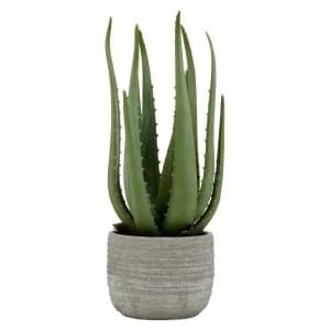 Premier Housewares Large Faux Aloe Vera in Cement Pot