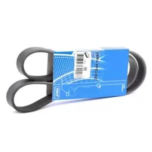 SKF V-ribbed belt VW,AUDI,OPEL VKMV 6PK1050 03G903137B,46801955,71719644 Serpentine belt,Auxiliary belt,Poly V-belt,Ribbed belt,Multi V-belt,Poly belt