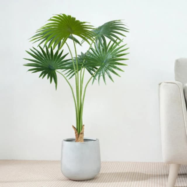 MCC Direct Artificial Fake Fan palm Tree Plant with Plastic Planter Pot 100cm Multi