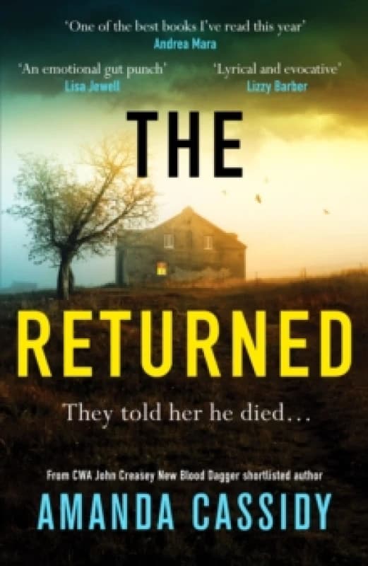 The Returned : A gripping Irish crime thriller Hardback