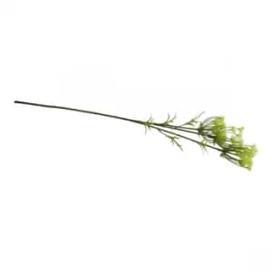 Single Spray of Cow Parsley With White Flowers, 79cm