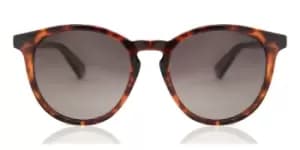 Polaroid Sunglasses PLD 6098/S Polarized 086/LA