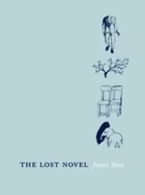 lost novel