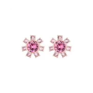 Ted Baker Cesha Daisy Clockwork Stud Earrings