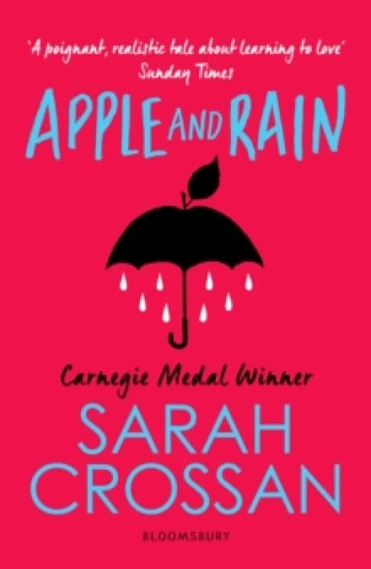Apple and Rain Paperback / softback