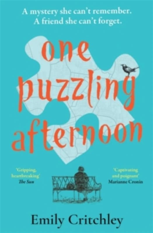 One Puzzling Afternoon : A heartbreaking, captivating mystery for fans of The List of Suspicious Things Paperback / softback