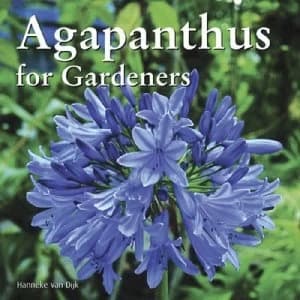 Agapanthus for Gardeners by Hanneke Van Dijk Book