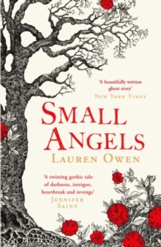 Small Angels : 'A twisting gothic tale of darkness, intrigue, heartbreak and revenge' Jennifer Saint Paperback / softback
