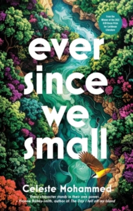 Ever Since We Small Hardback