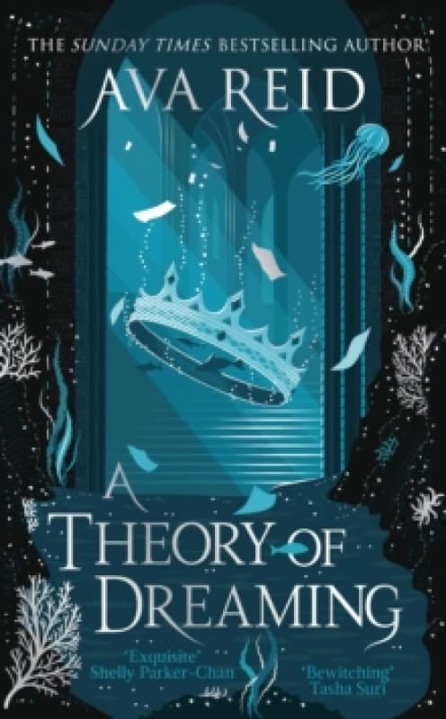 A Theory of Dreaming Hardback