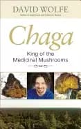 chaga king of the medicinal mushrooms