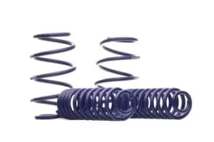 H&R Suspension Kit, coil springs RENAULT 29528-2