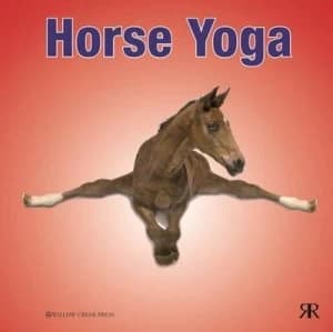 Horse yoga by