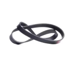 RIDEX V-ribbed belt VW,AUDI,FIAT 305P0053 46540546,55192075,60653027 Serpentine belt,Auxiliary belt,Poly V-belt,Ribbed belt,Multi V-belt,Poly belt