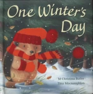 One Winters Day by M. Christina Butler and Tina Macnaughton Hardback