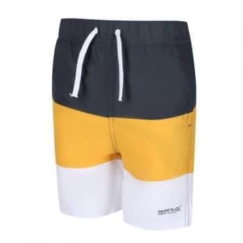 Regatta Shaul III Swimming Shorts - SealGry/Glow