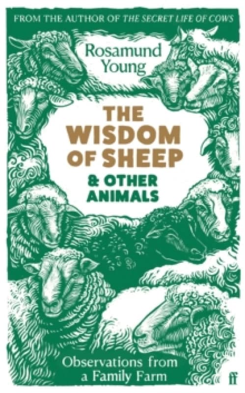 The Wisdom of Sheep & Other Animals. Hardback. By Rosamund Young Books