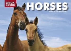 Horses by Kristin Maffei Book